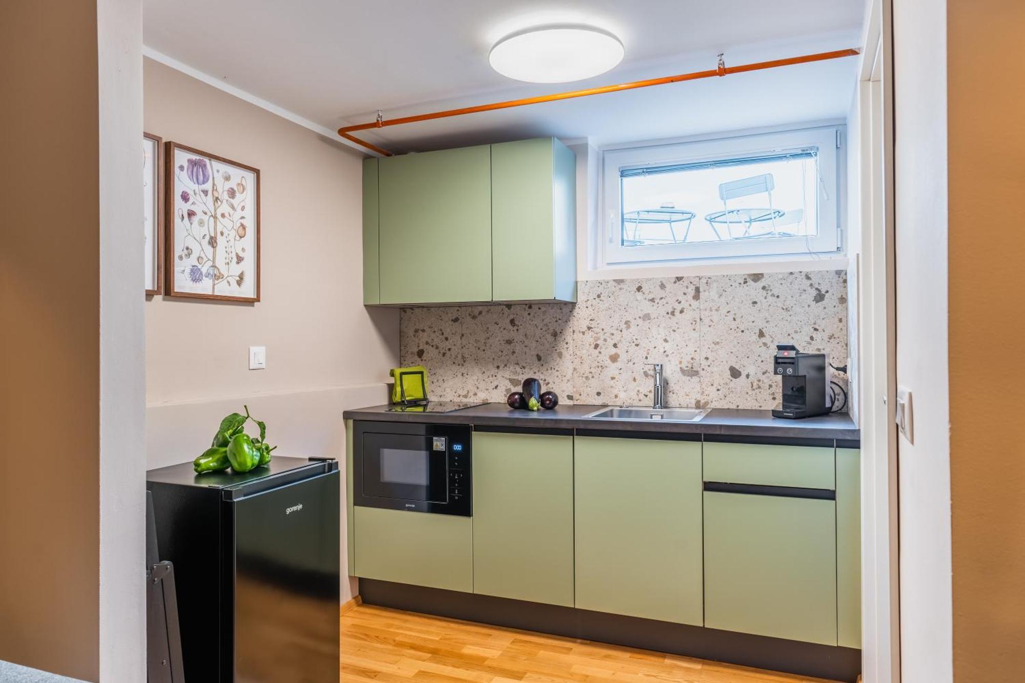Vila Valentina Ljubljana Oda fotoğraf